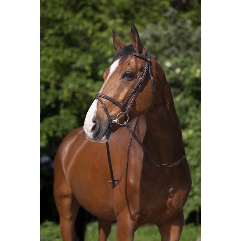 product/r/i/riding-world_301004318_1.jpg
