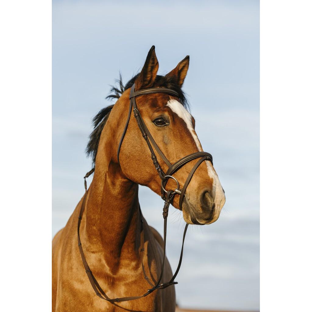 product/r/i/riding-world_301009118_havane_1.jpg