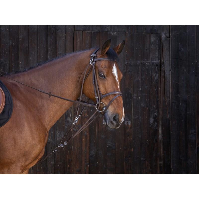 product/r/i/riding-world_306396018_2.jpg
