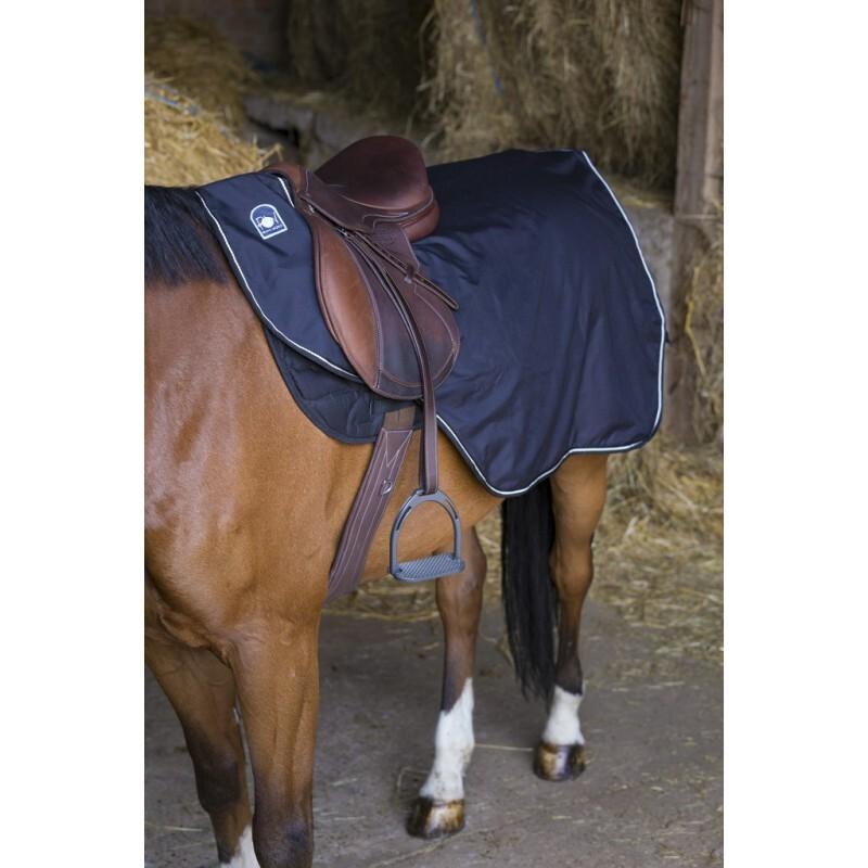 product/r/i/riding-world_400240215.jpg