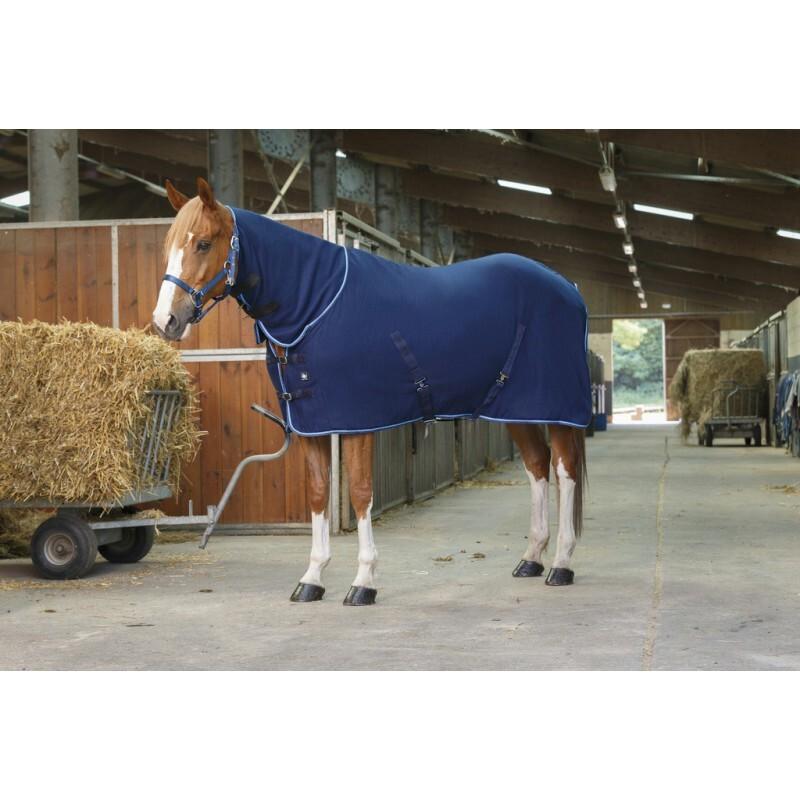 product/r/i/riding-world_400638770_1.jpg