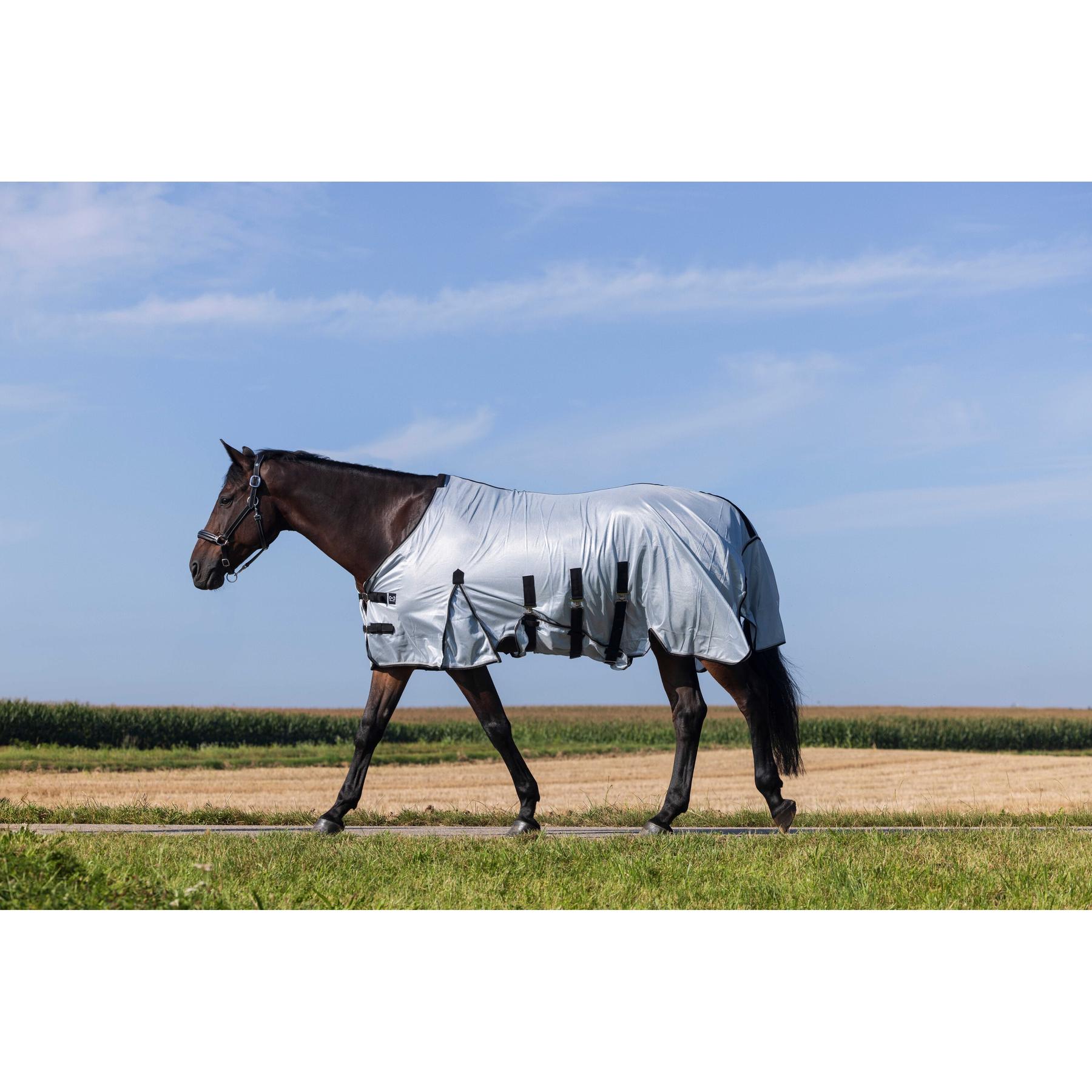 product/r/i/riding-world_400723056_gris_1.jpg