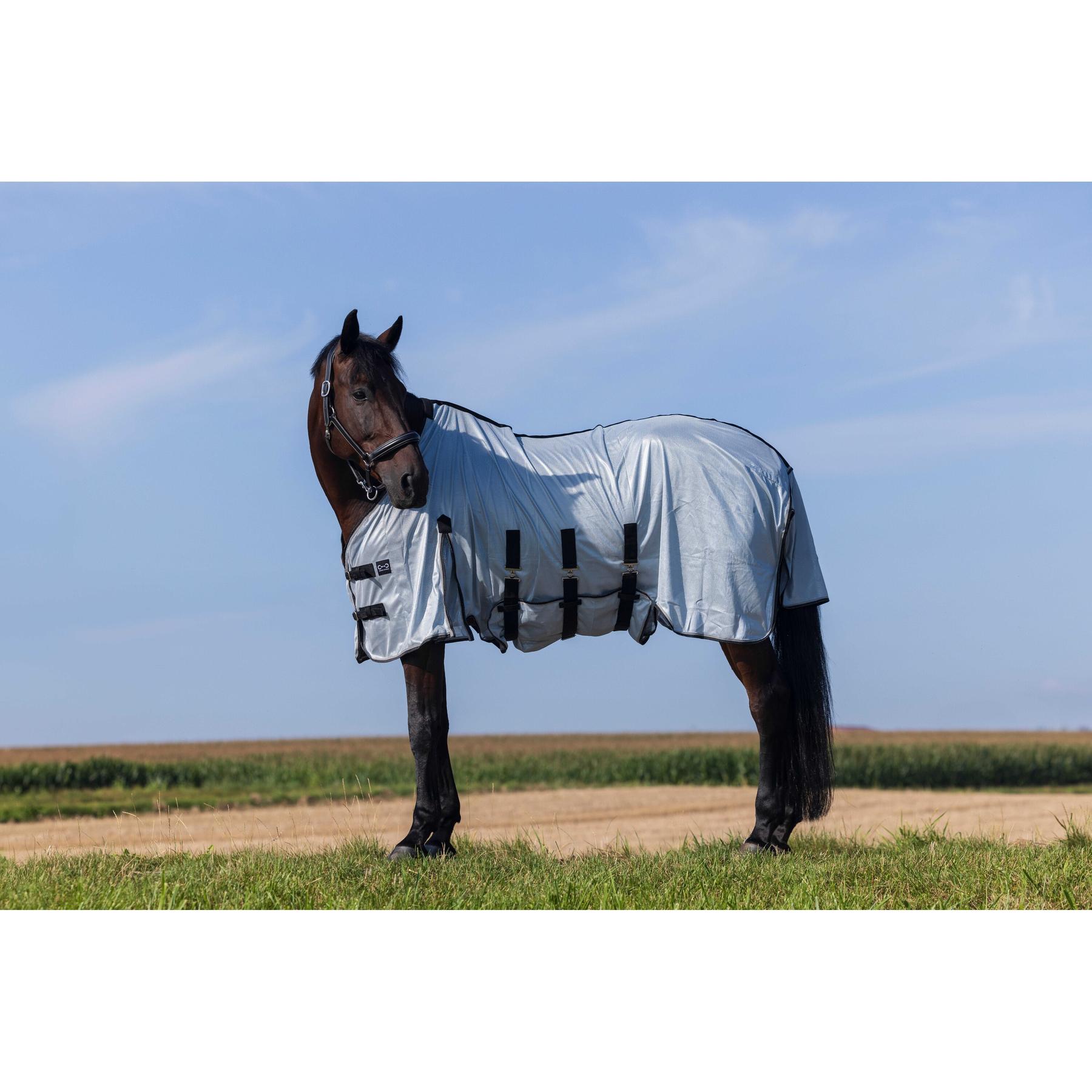 product/r/i/riding-world_400723056_gris_2.jpg