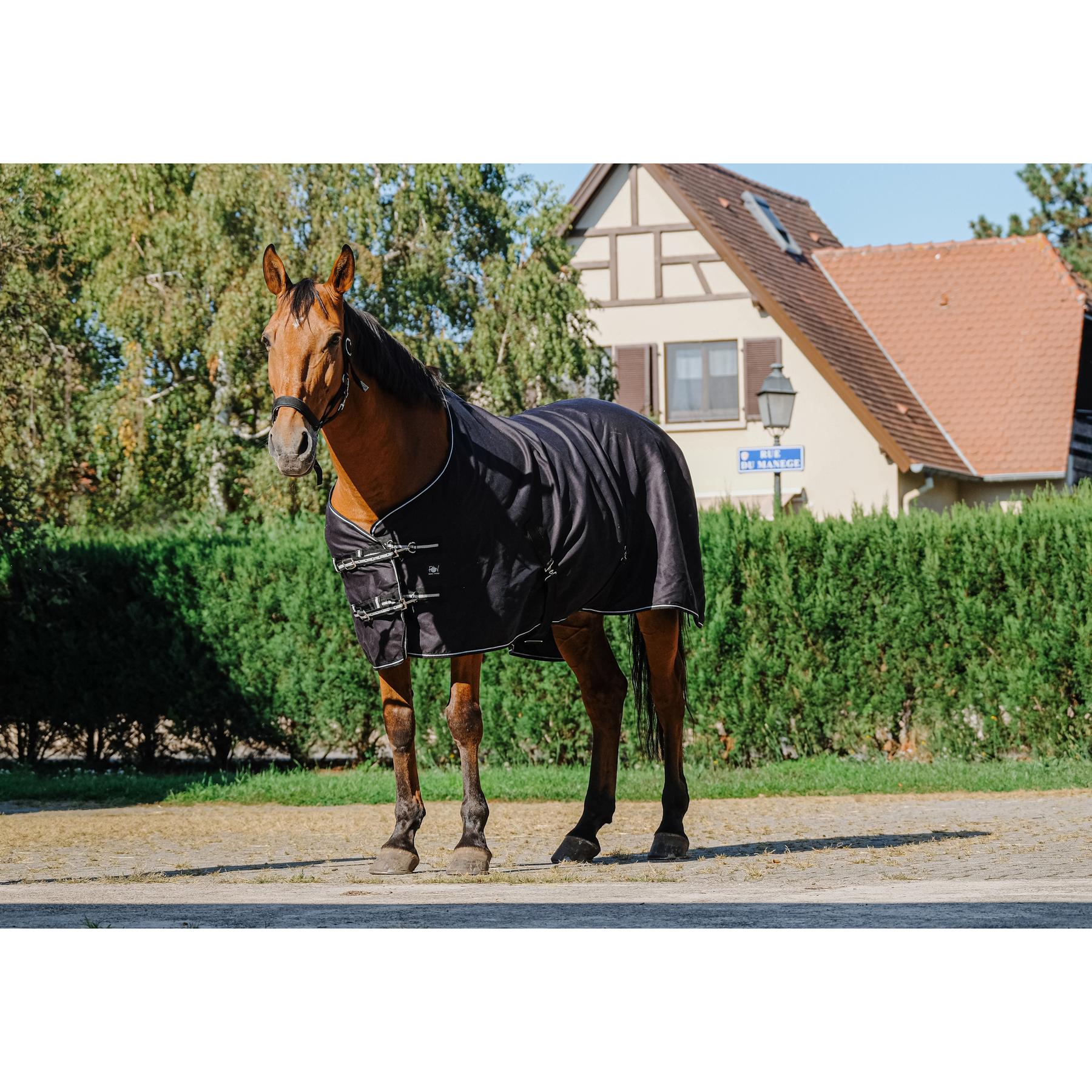 product/r/i/riding-world_400_709_063_ambi1.jpg