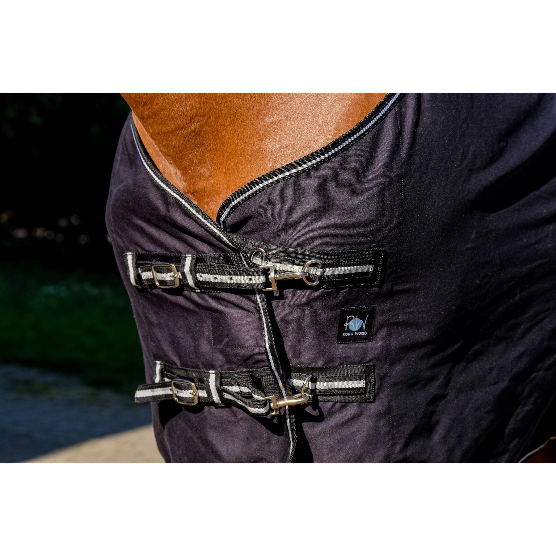 product/r/i/riding-world_400_709_063_det2.jpg