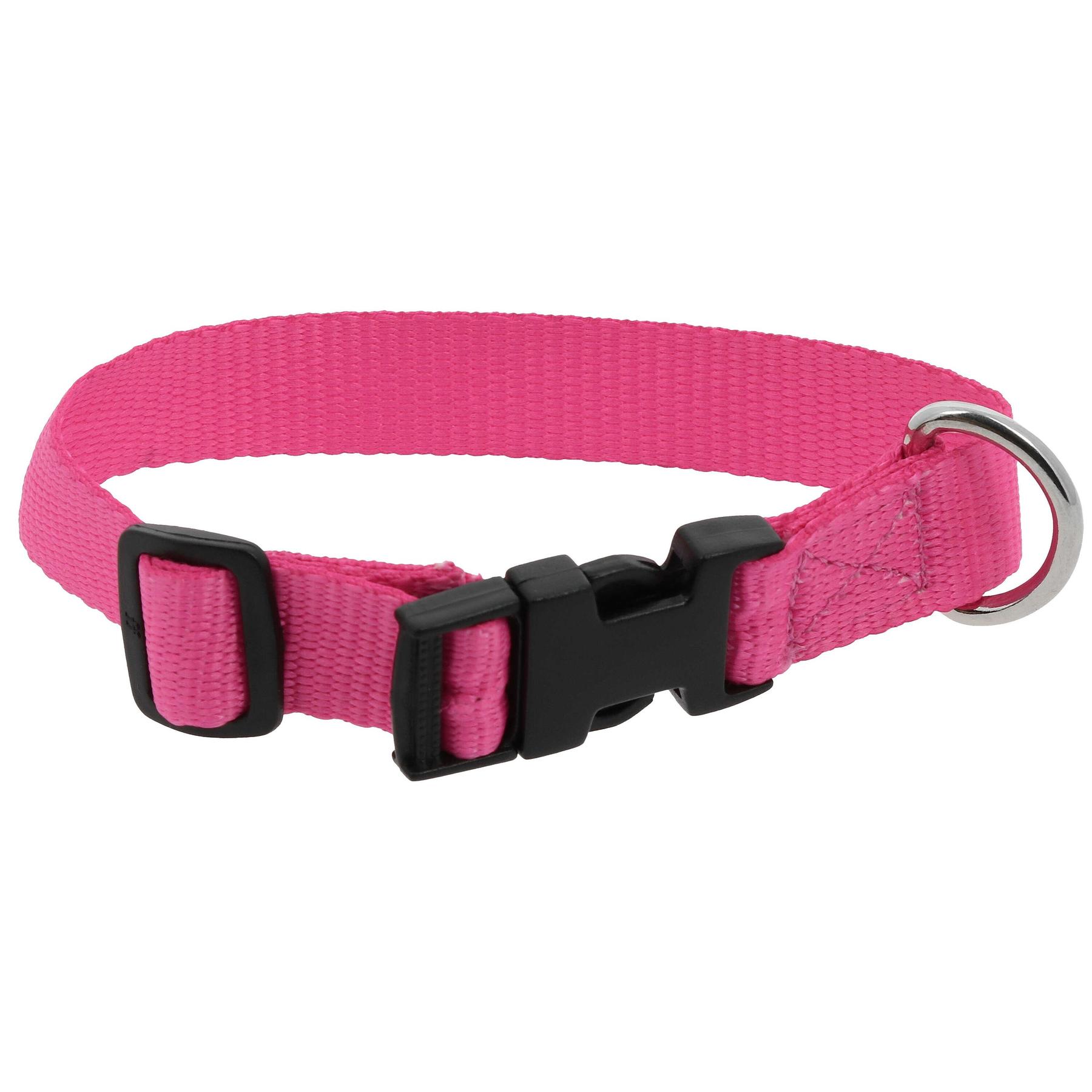product/r/i/riding-world_409058430_rose_1.jpg