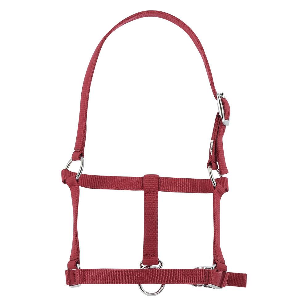 product/r/i/riding-world_510_241_033.jpg