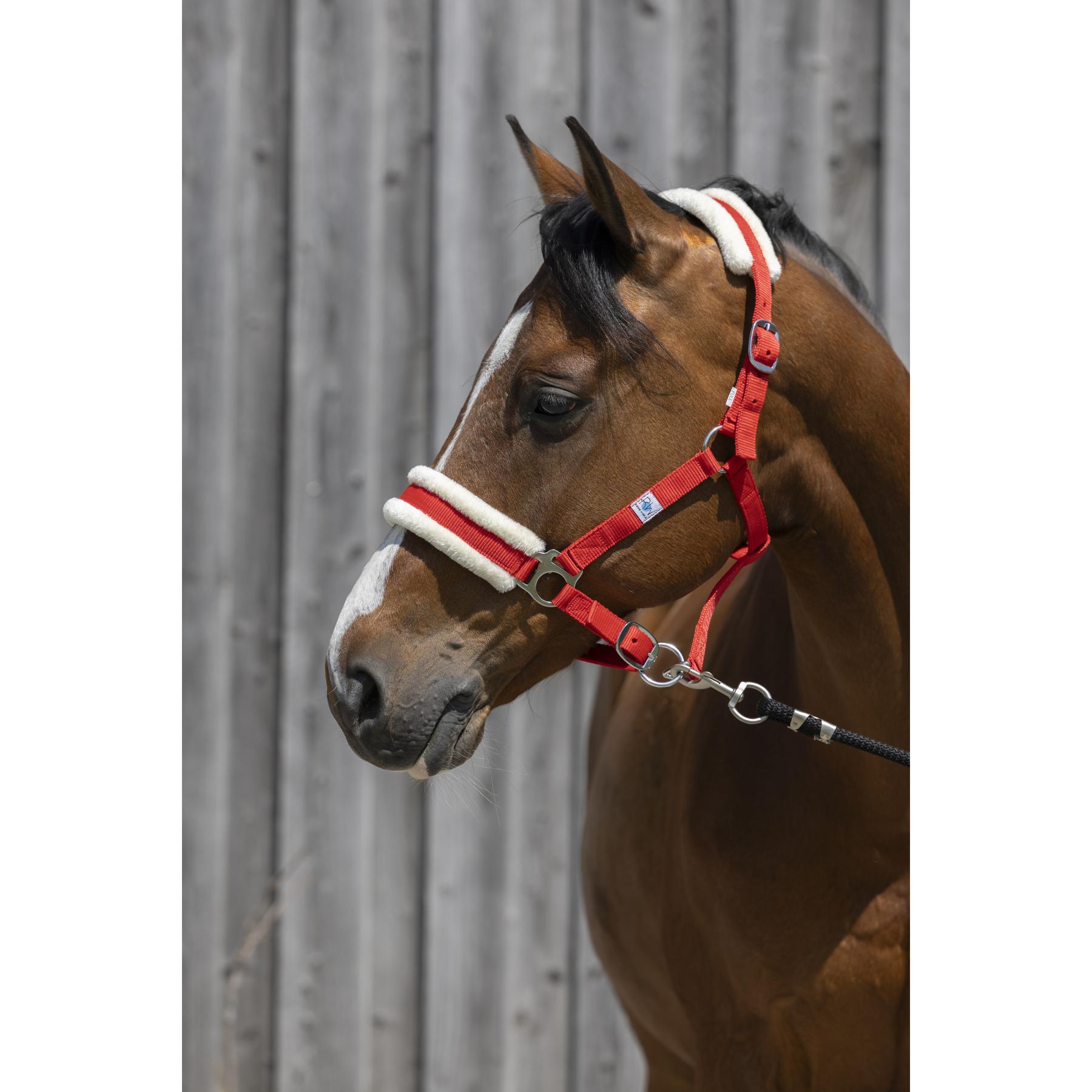 product/r/i/riding-world_510_242_303_ambi_2.jpg