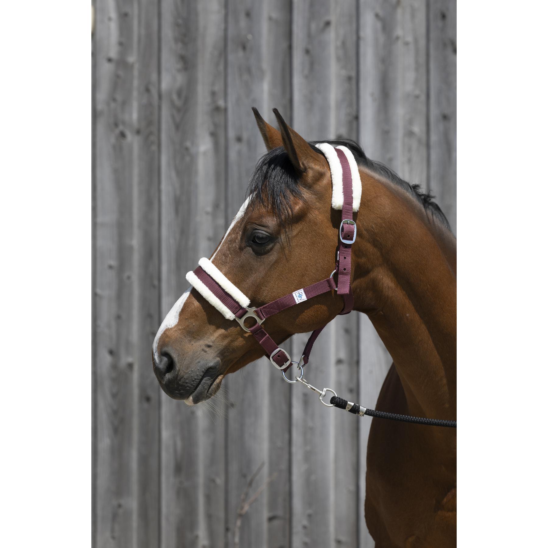 product/r/i/riding-world_510_242_333_ambi.jpg