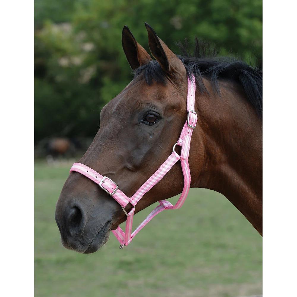 product/r/o/roma_593312_pink-silver_1.jpg