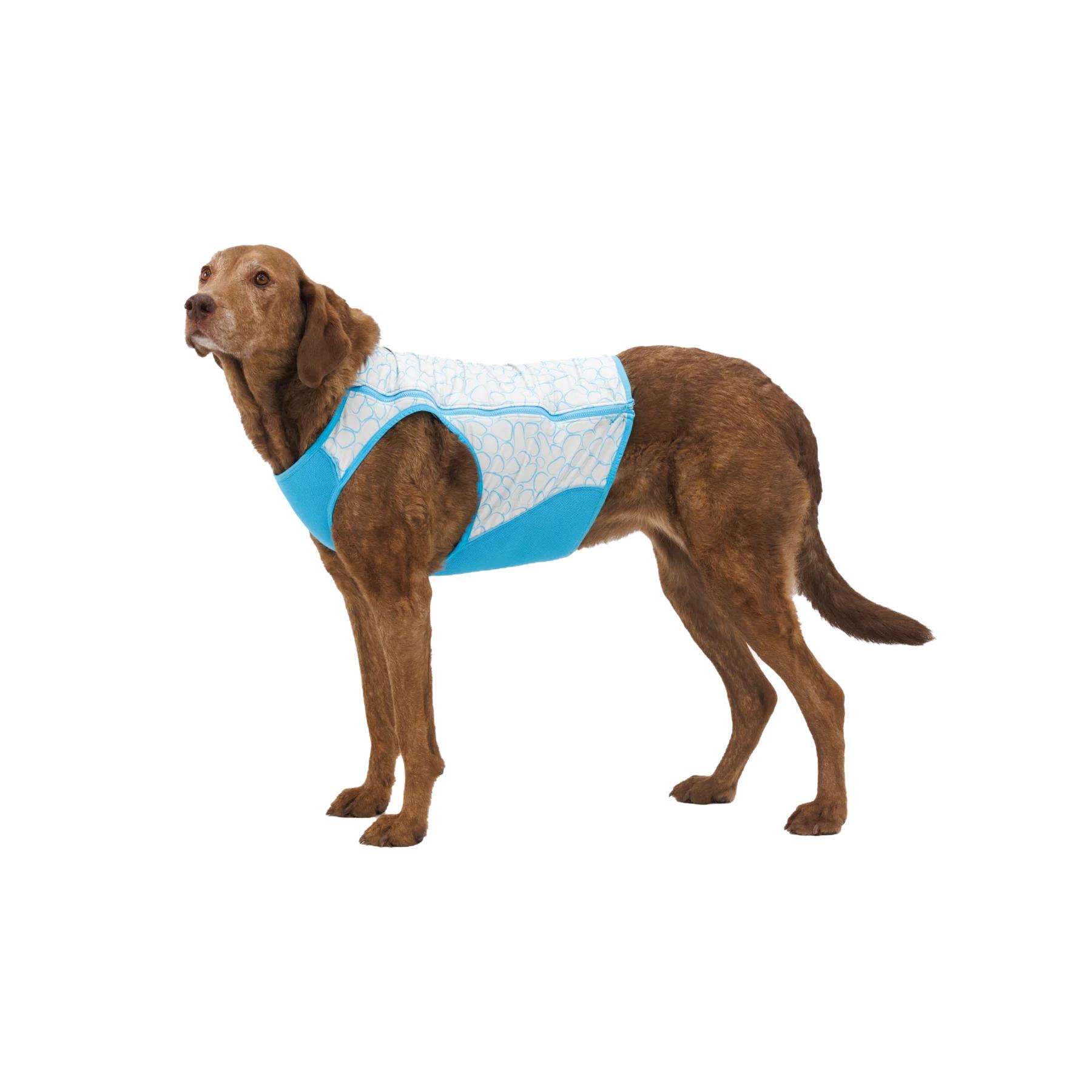 product/r/u/ruffwear_05452-445_bleu-bioluminescent_3.jpg