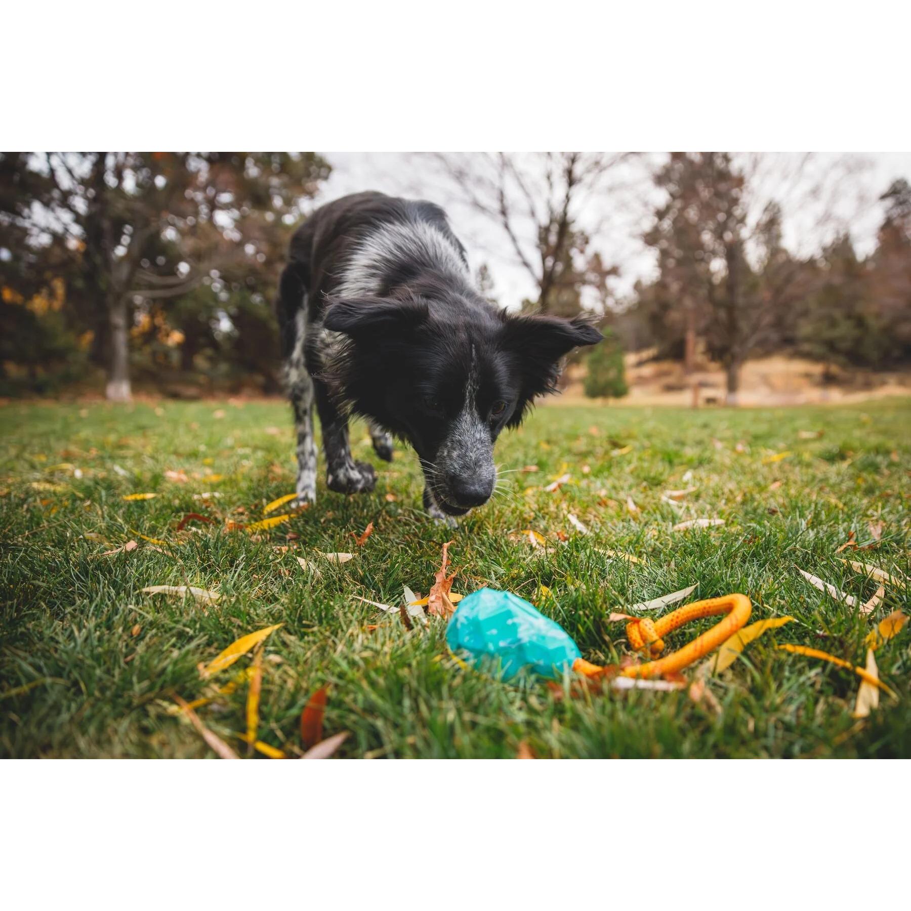 product/r/u/ruffwear_60812-415m_glacial-bleu_3.jpg