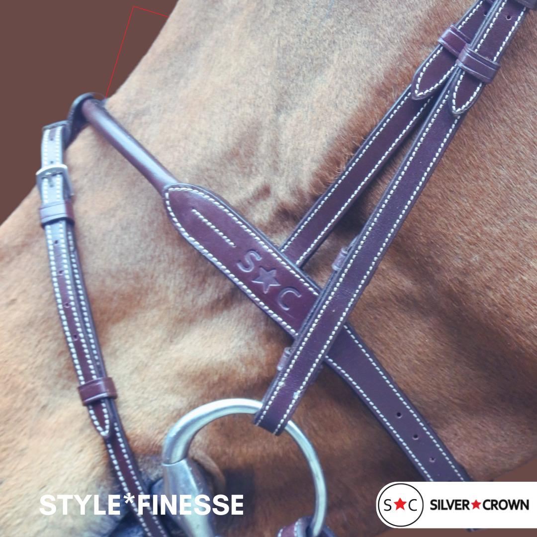 product/s/i/silver-crown_scbfin_australian-nut_3.jpg