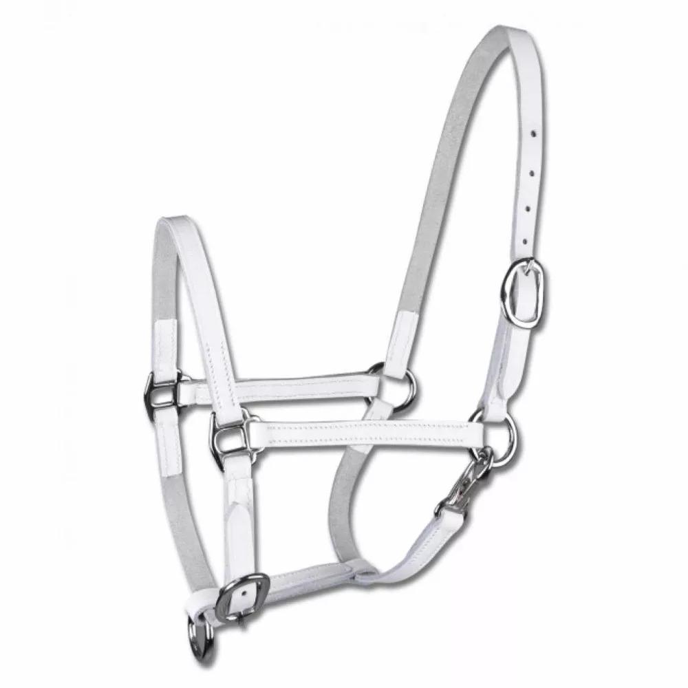 product/s/t/star_50436202-pon_blanc_1.jpg