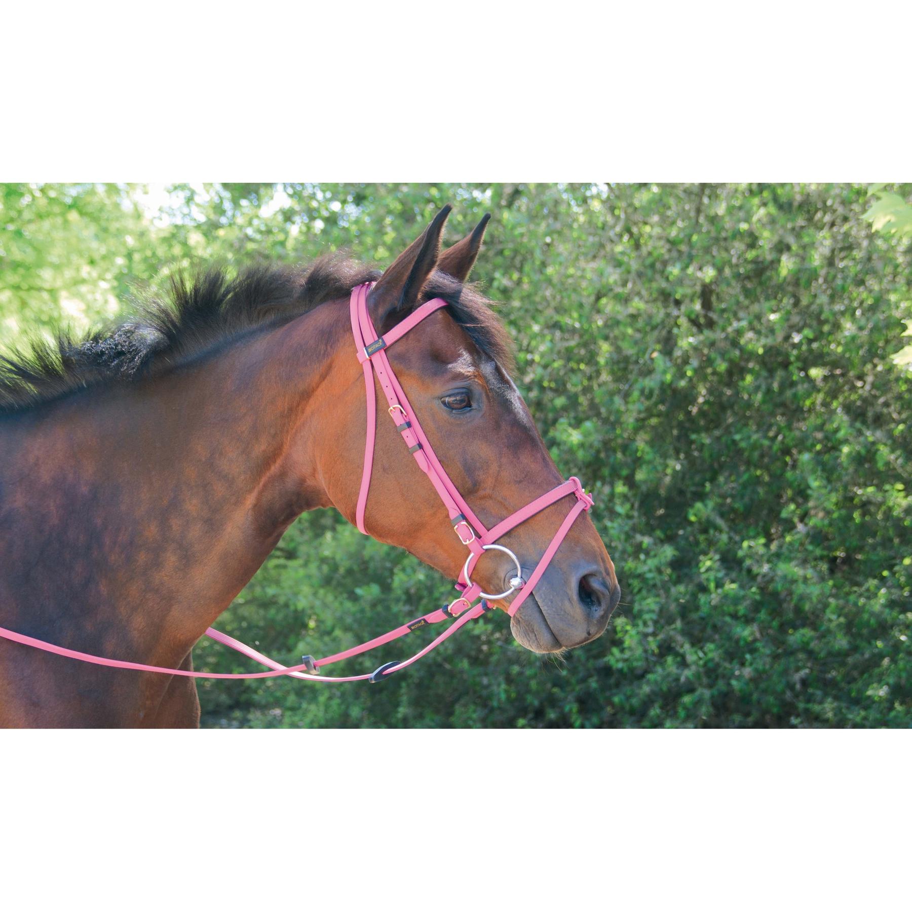 product/t/-/t-de-t_biobrid01_fuchsia_0.jpg