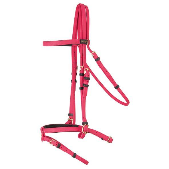 product/t/-/t-de-t_biobrid01_fuchsia_1.jpg
