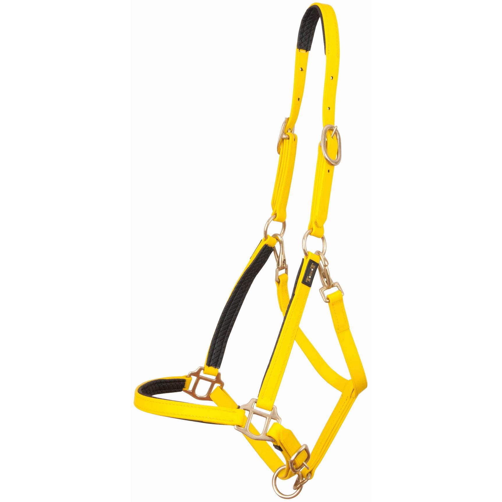 product/t/-/t-de-t_biolic01_jaune_0.jpg