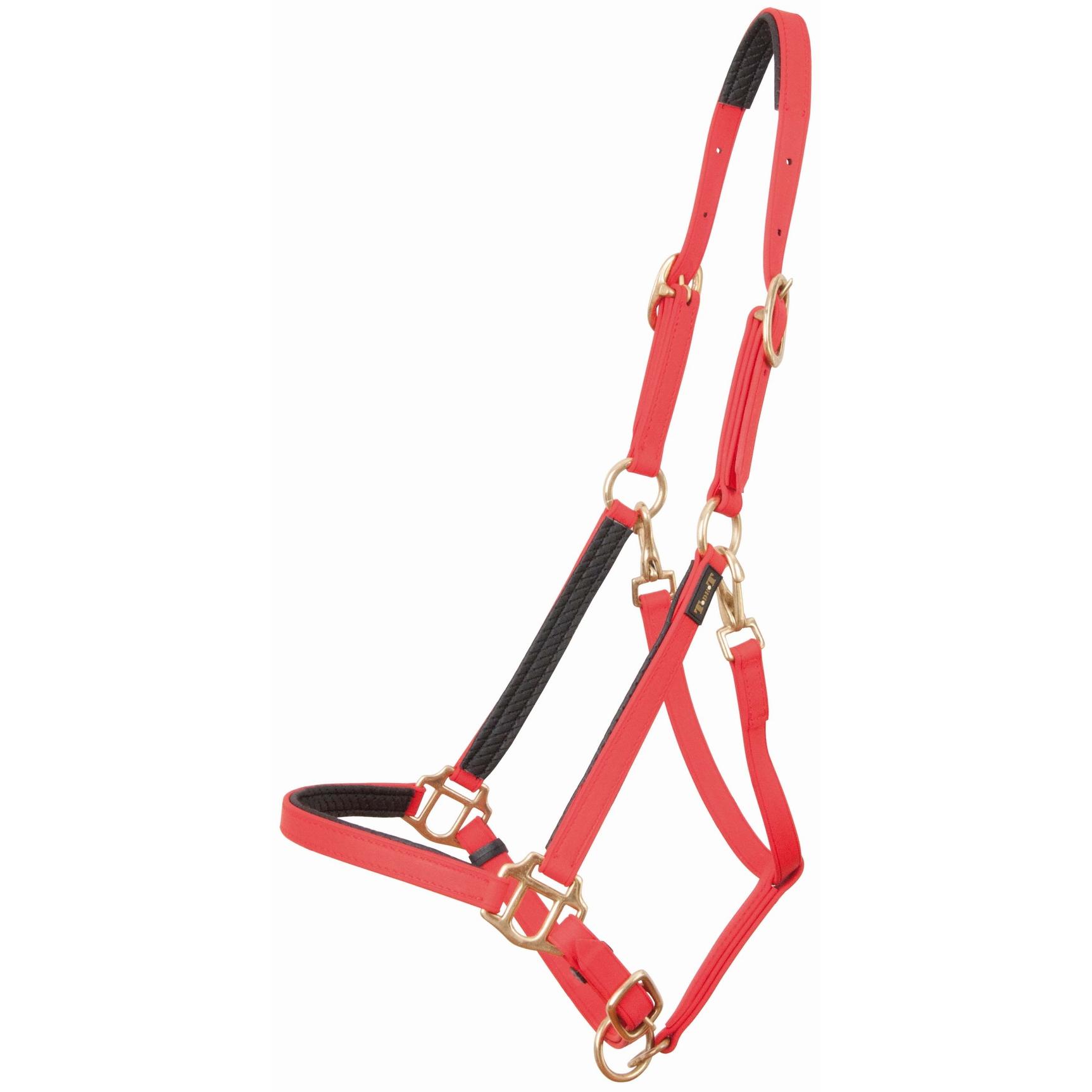 product/t/-/t-de-t_biolic01_rouge_0.jpg