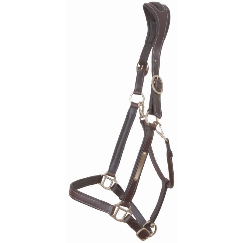 product/t/-/t-de-t_lcvl05-marron_fonce_marron-fonce_1.jpg