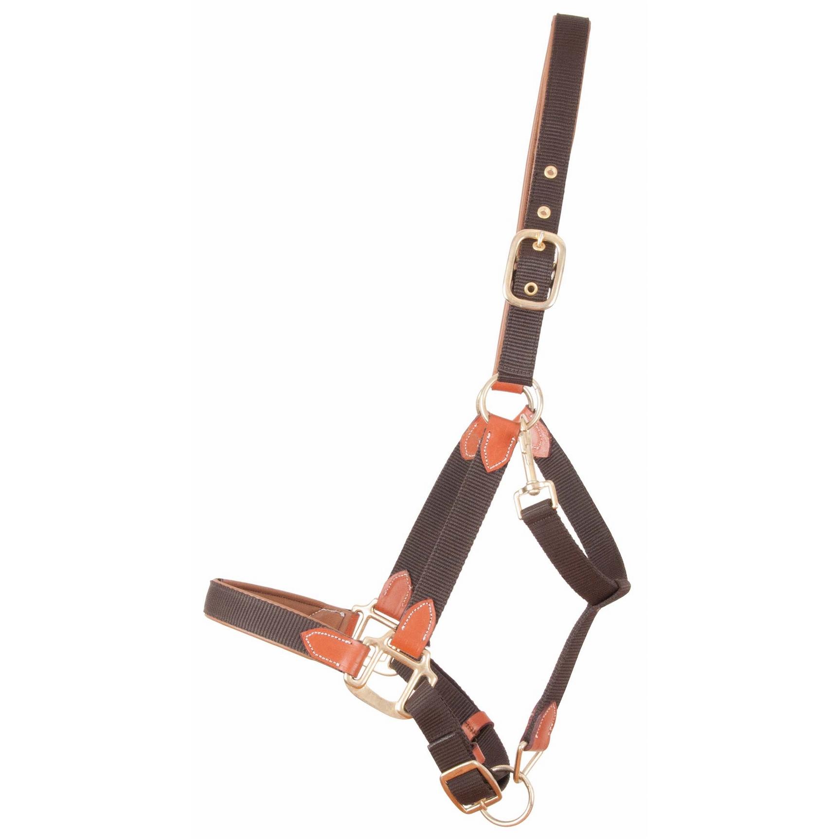 product/t/-/t-de-t_lic01_marron_0.jpg