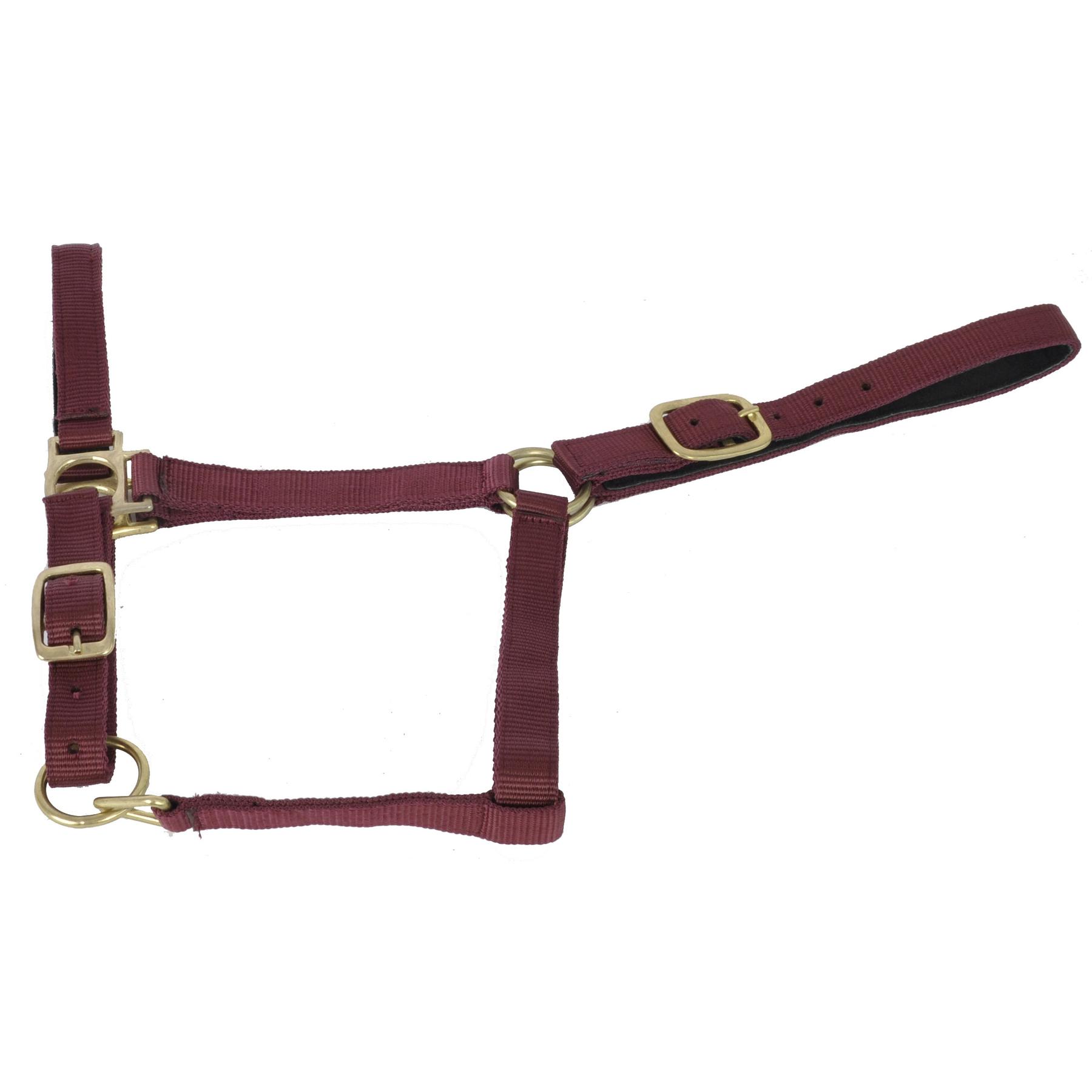 product/t/-/t-de-t_lsdc_bordeaux_0.jpg
