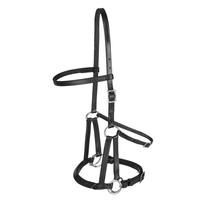 product/t/e/tellington-ttouch_9414101-pon_noir_1.jpg