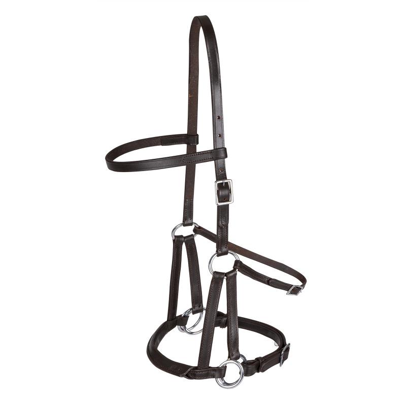 product/t/e/tellington-ttouch_9414130-pon_marron_1.jpg