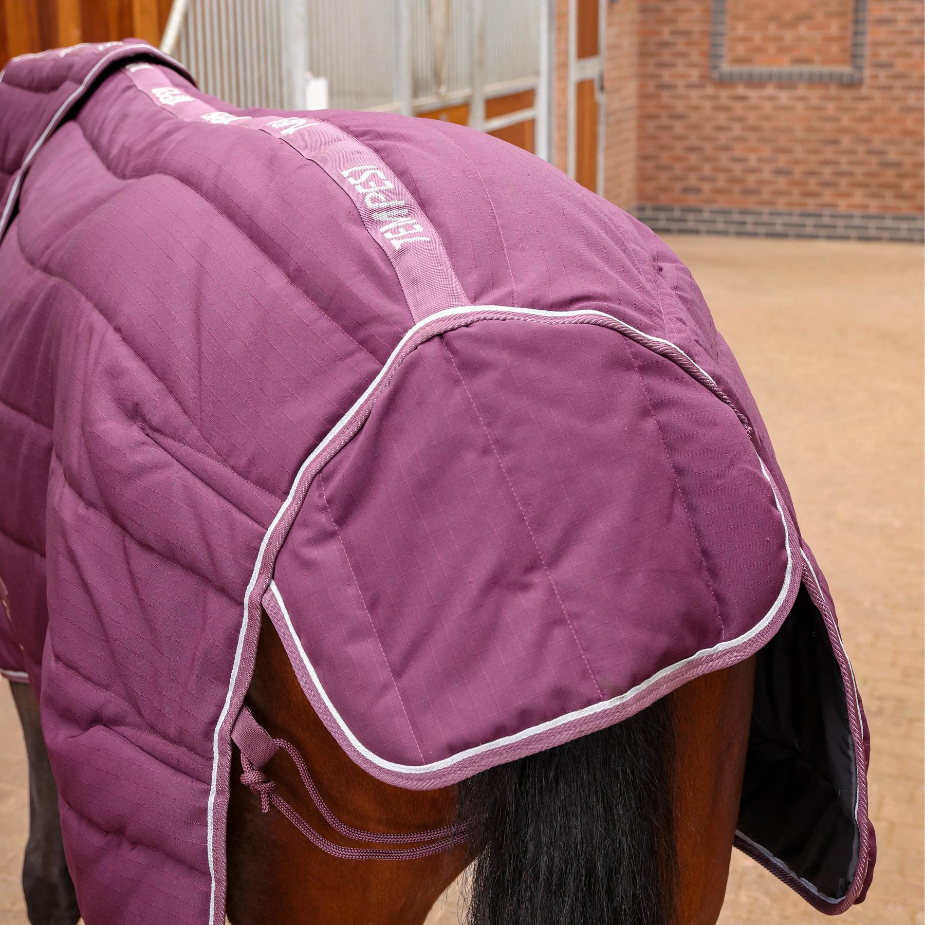 product/t/e/tempest-original_10468-burg_burg_3.jpg