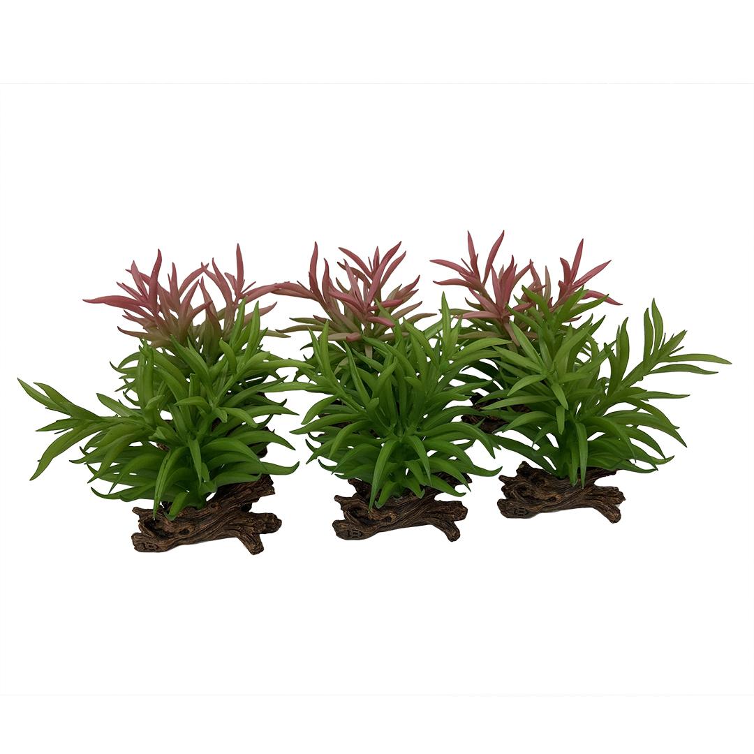 product/t/e/terra-della_242-465868.jpg