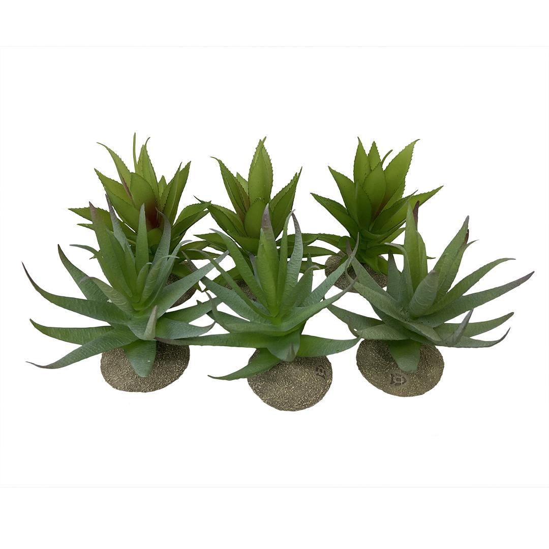 product/t/e/terra-della_242-465899.jpg