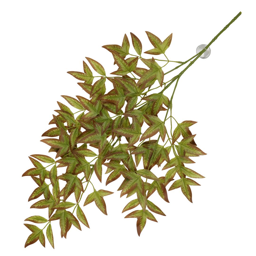 product/t/e/terra-della_243-470411_4.jpg