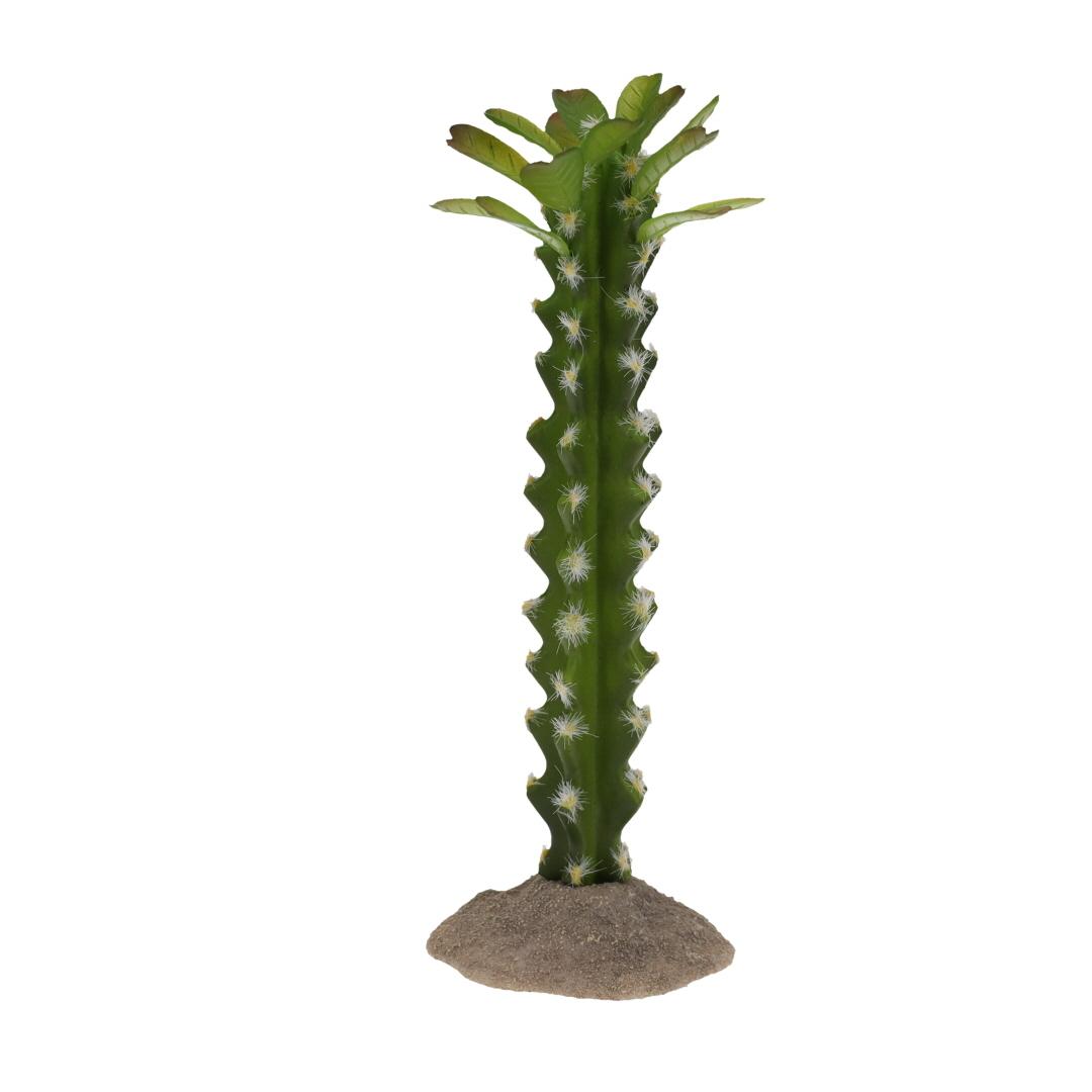 product/t/e/terra-della_243-482759_0.jpg