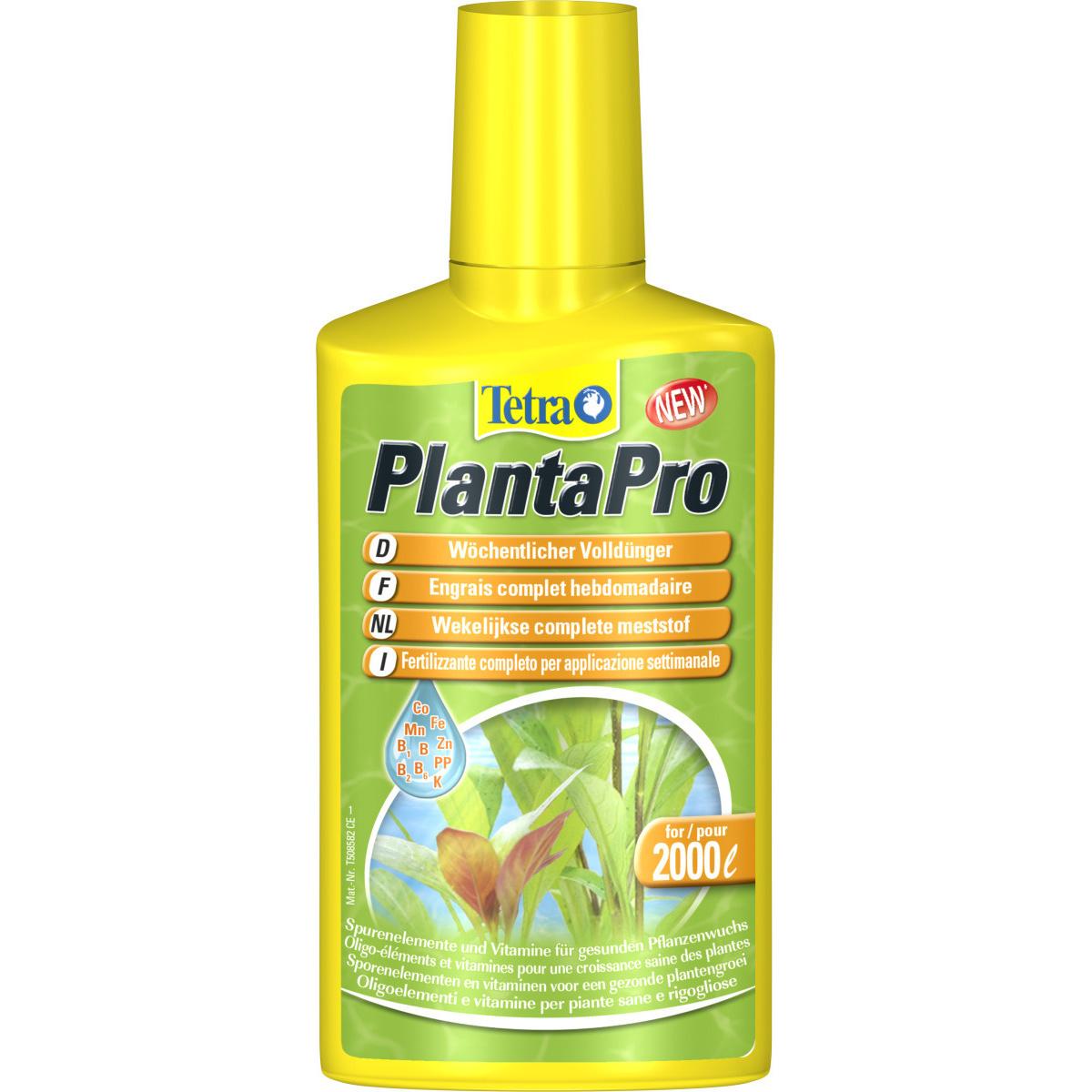 product/t/e/tetra_371939.jpg