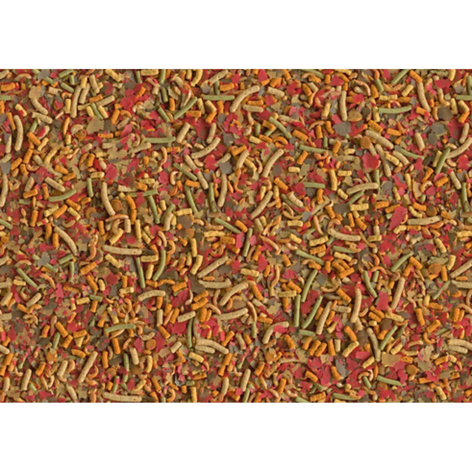 product/t/e/tetra_396209_1.jpg