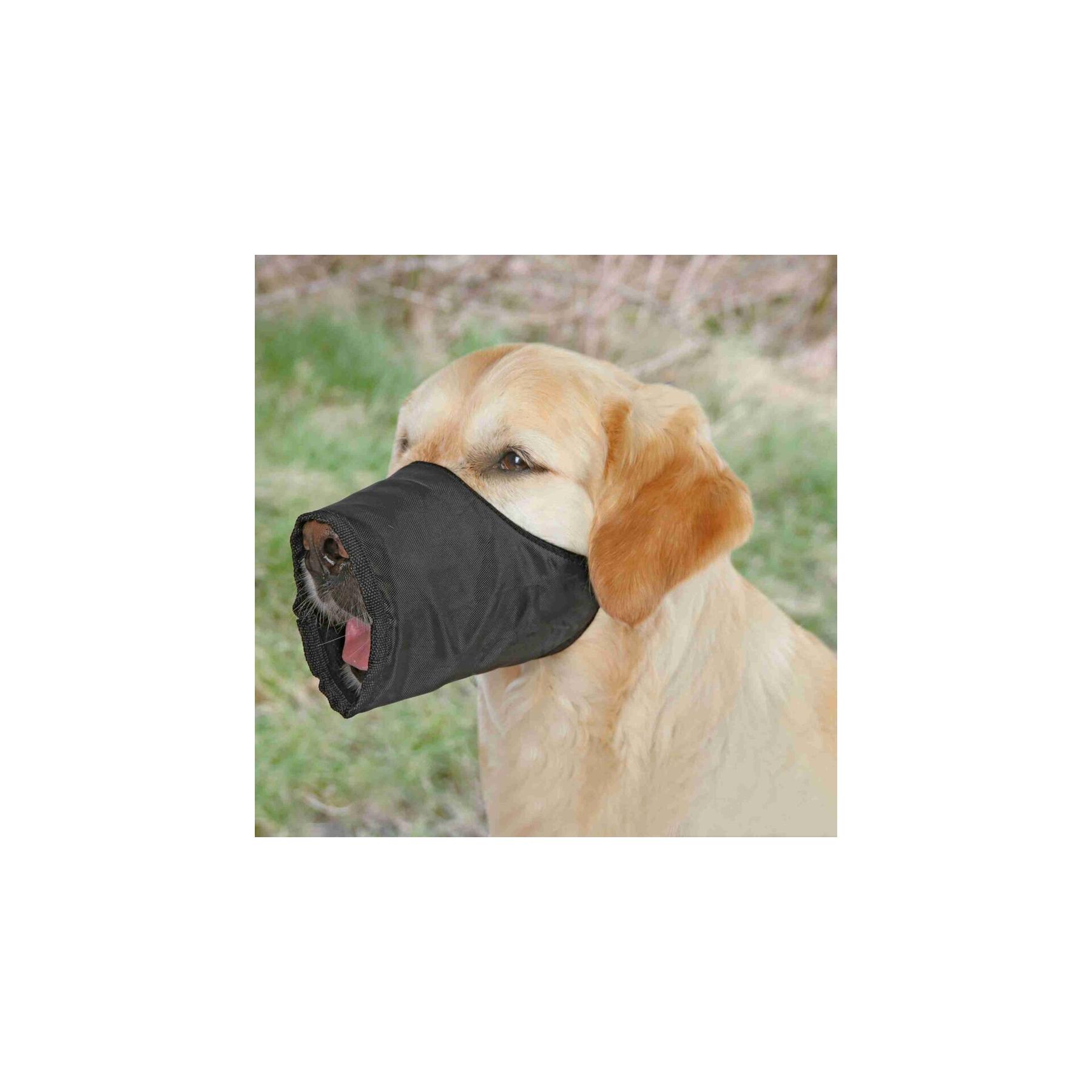 product/t/r/trixie_1920_noir_2.jpg