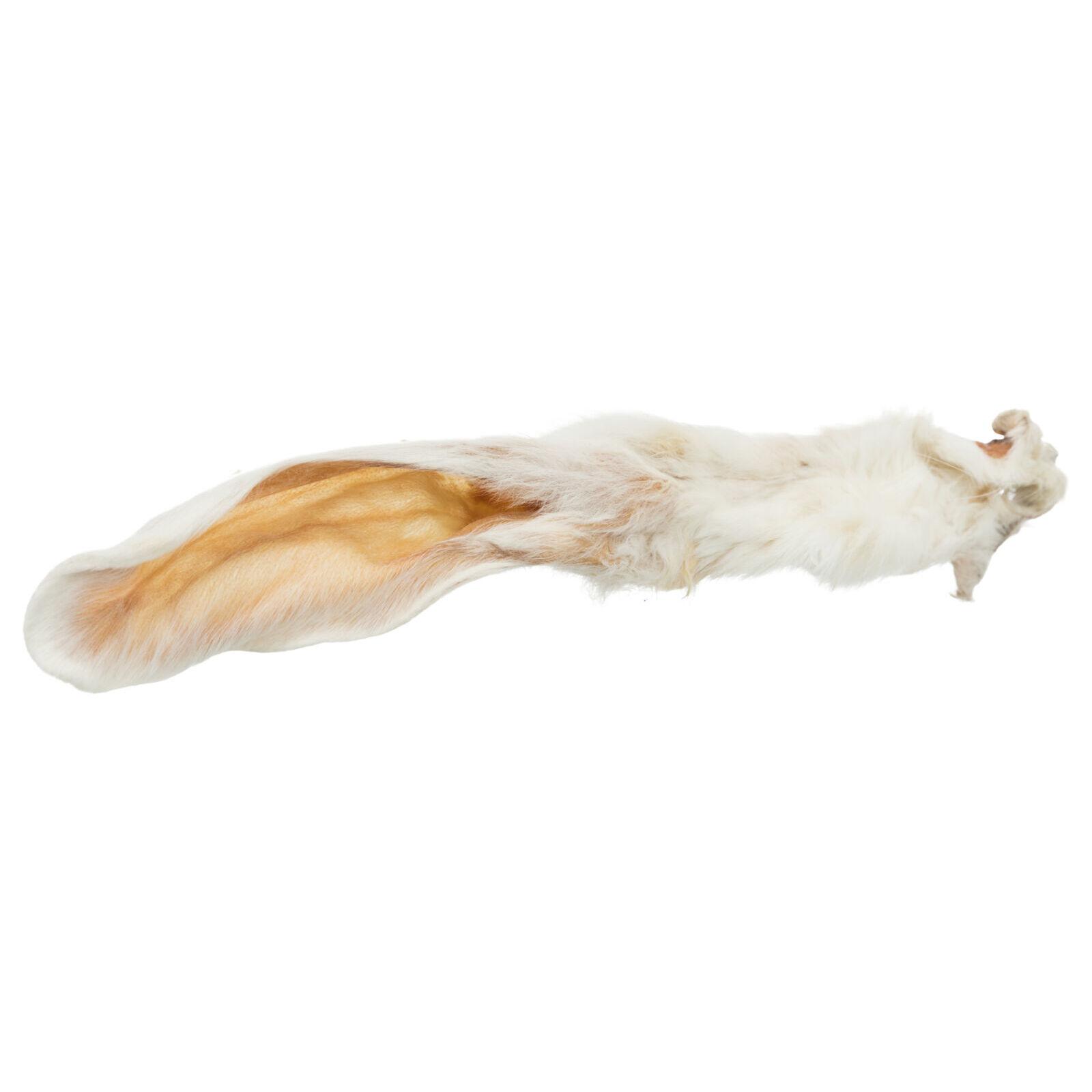 product/t/r/trixie_27126_2.jpg