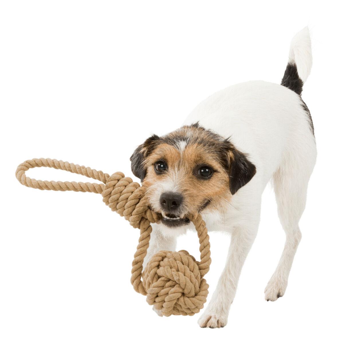 product/t/r/trixie_32632_beige_4.jpg