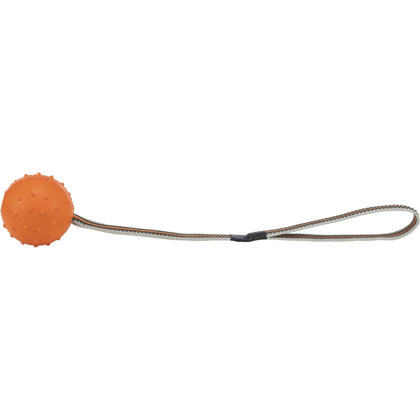 product/t/r/trixie_32820_divers_1.jpg