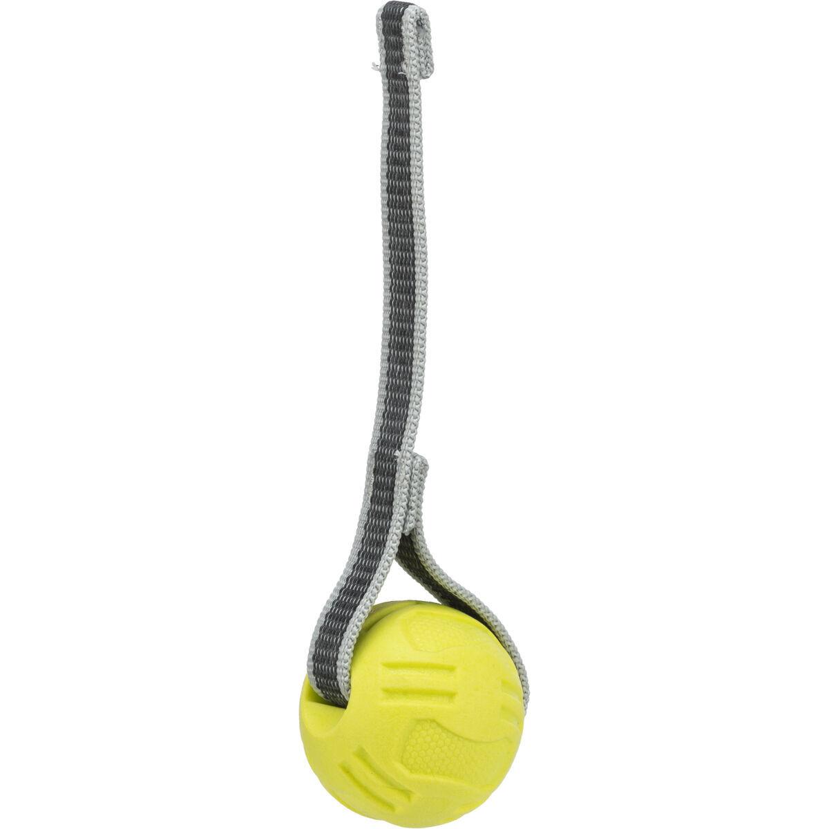 product/t/r/trixie_32851_lime_1.jpg