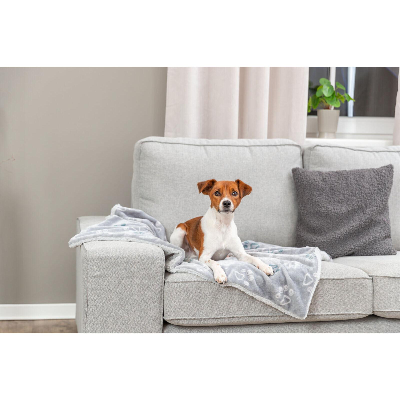 product/t/r/trixie_37614_gris-clair_3.jpg