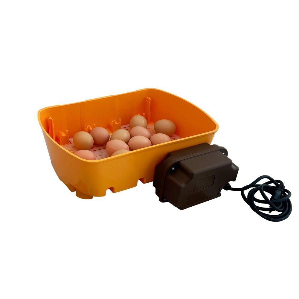 product/u/k/ukal_530500012_orange_2.jpg