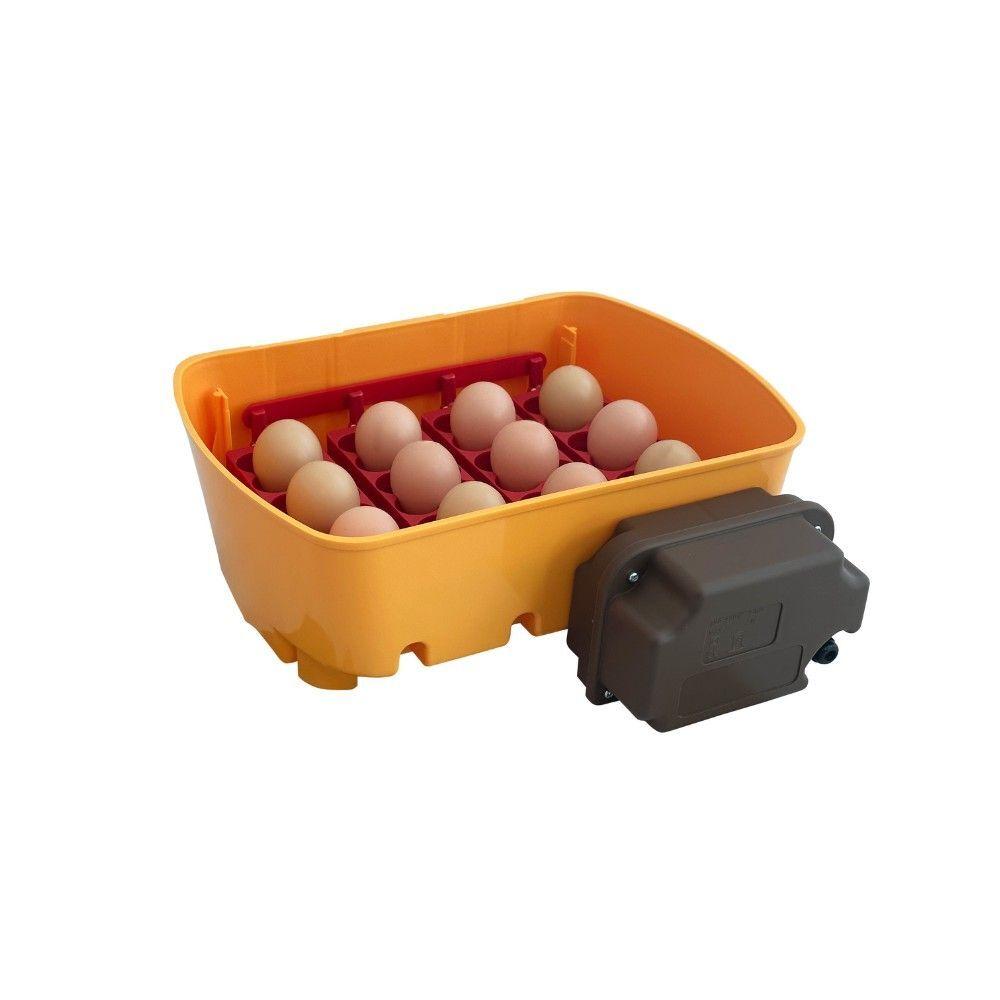product/u/k/ukal_530500012_orange_3.jpg