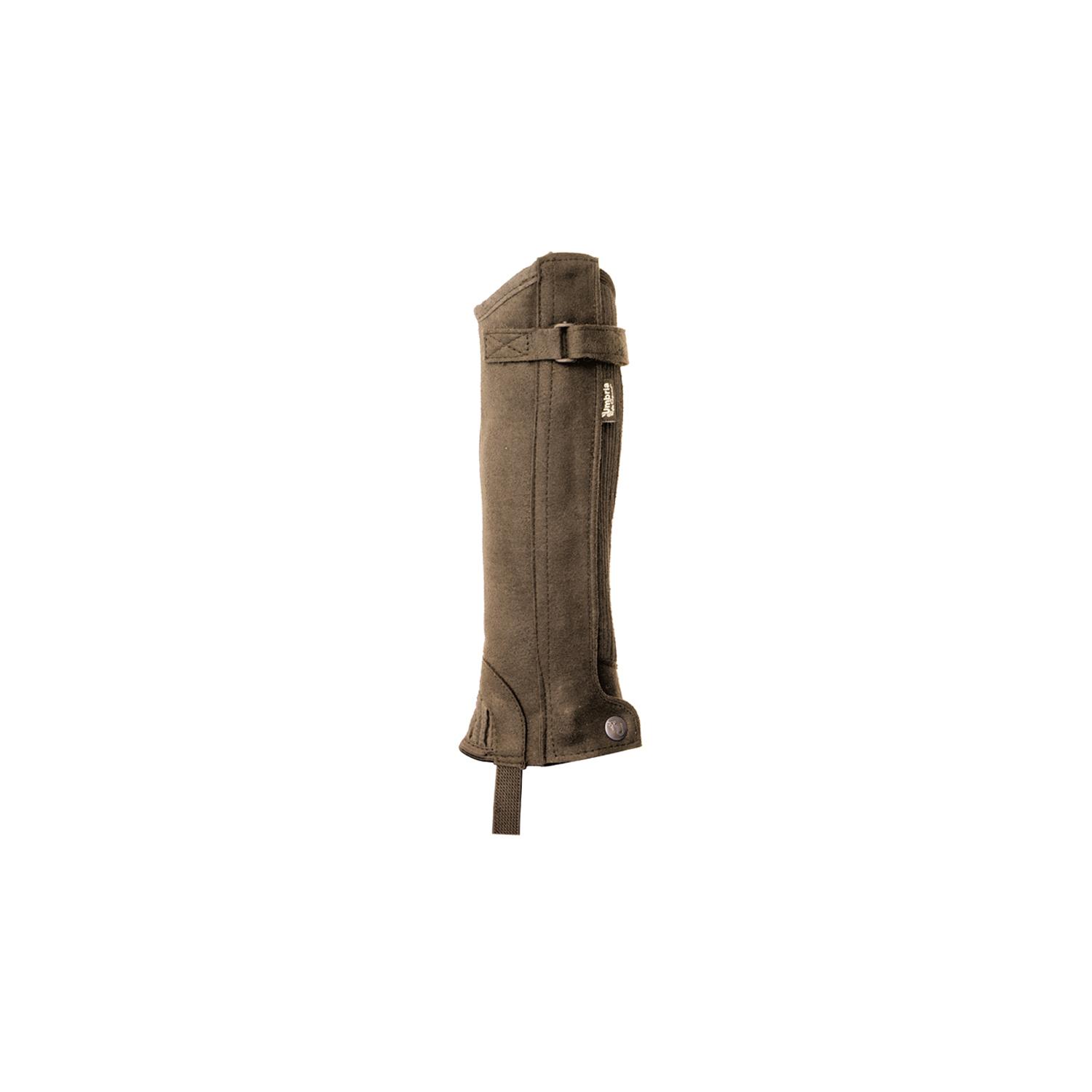 product/u/m/umbria-equitazione_ab00083-brown_marron_1.jpg