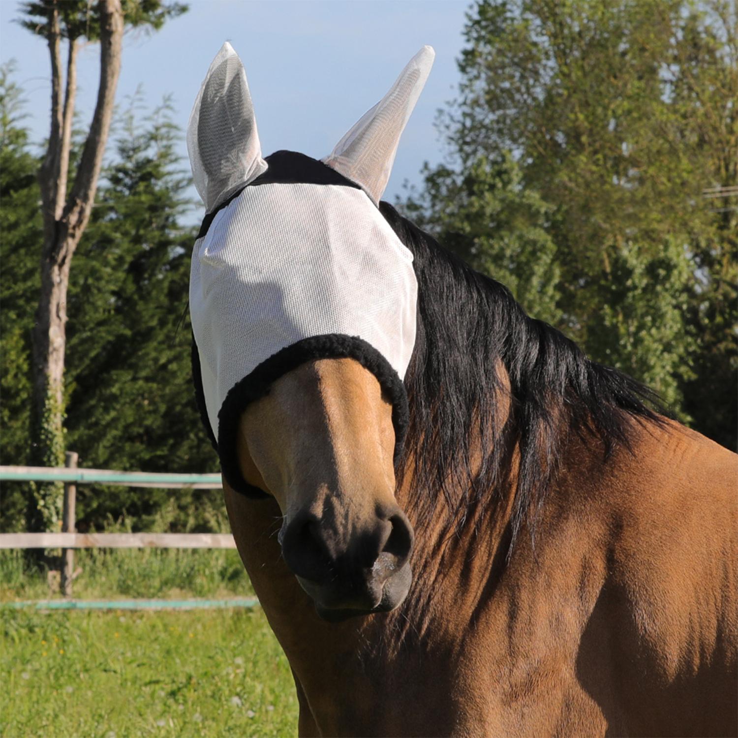 product/u/m/umbria-equitazione_ag00191a-white_white_1.jpg