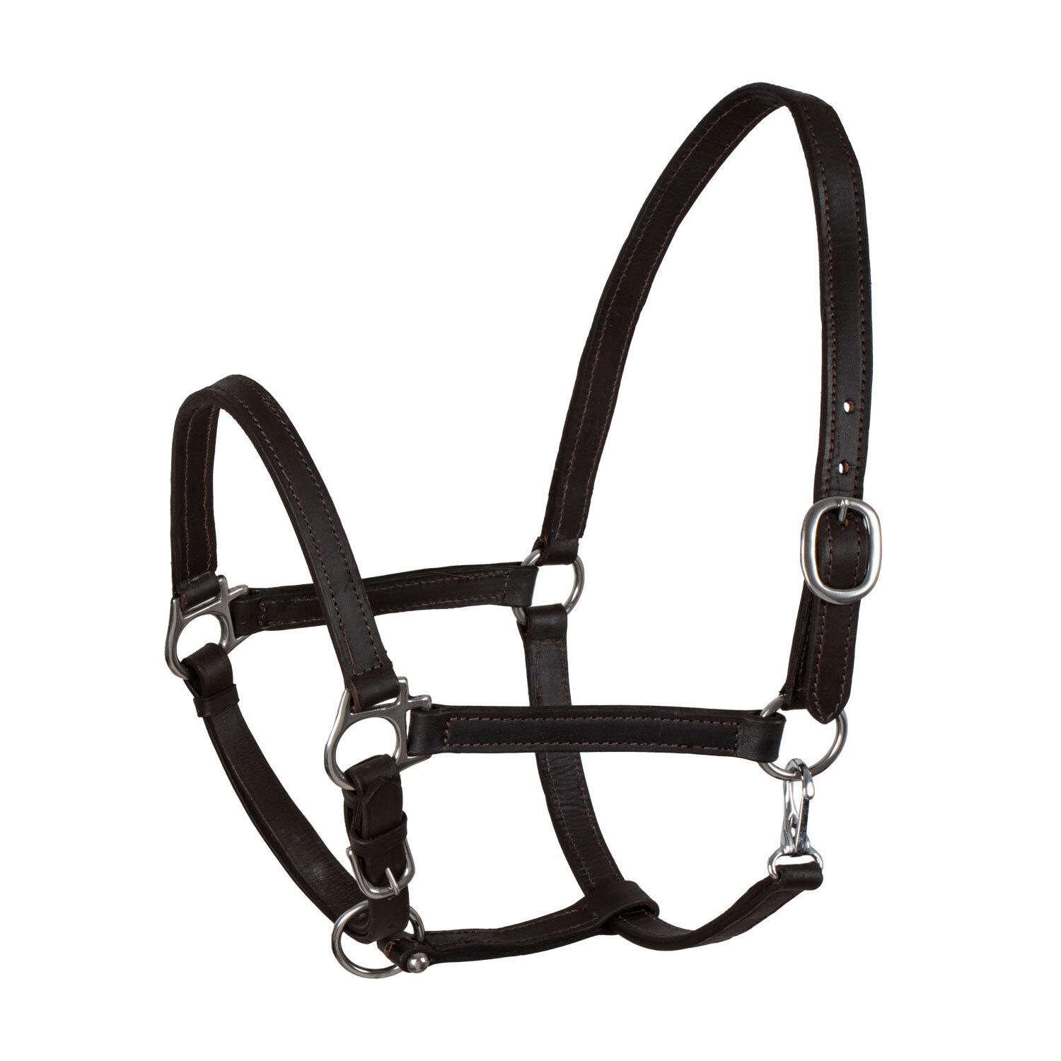 product/u/m/umbria-equitazione_ca00071-brown_brown_1.jpg
