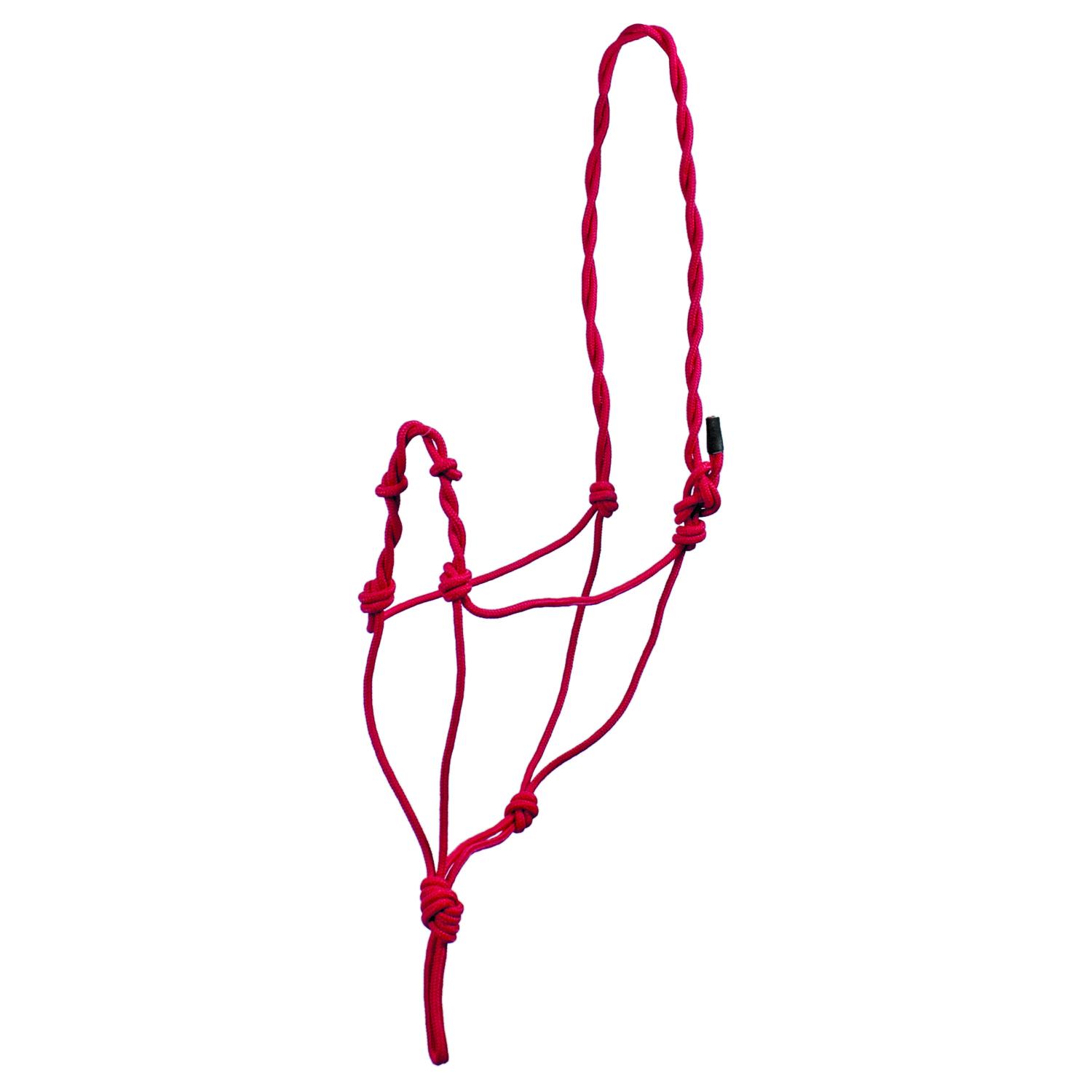 product/u/m/umbria-equitazione_ca00132-red_red_1.jpg