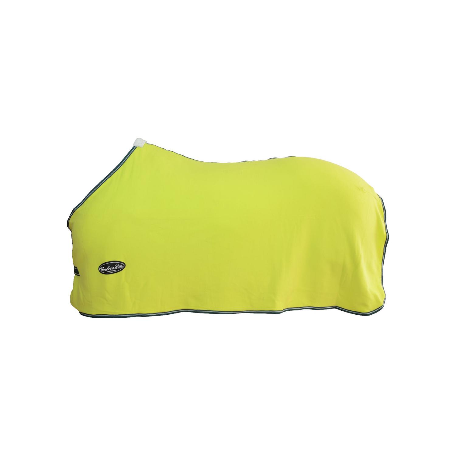 product/u/m/umbria-equitazione_co00040c-lime_lime_1.jpg