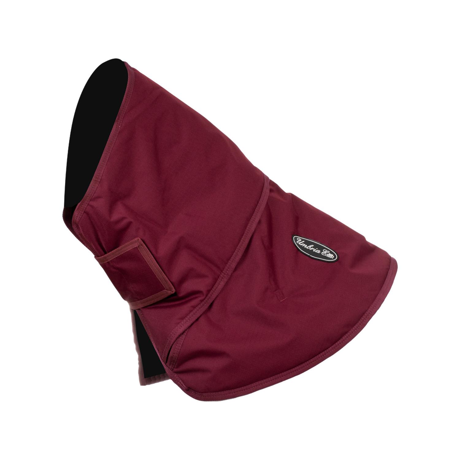 product/u/m/umbria-equitazione_co00086-burgundy_burgundy_1.jpg