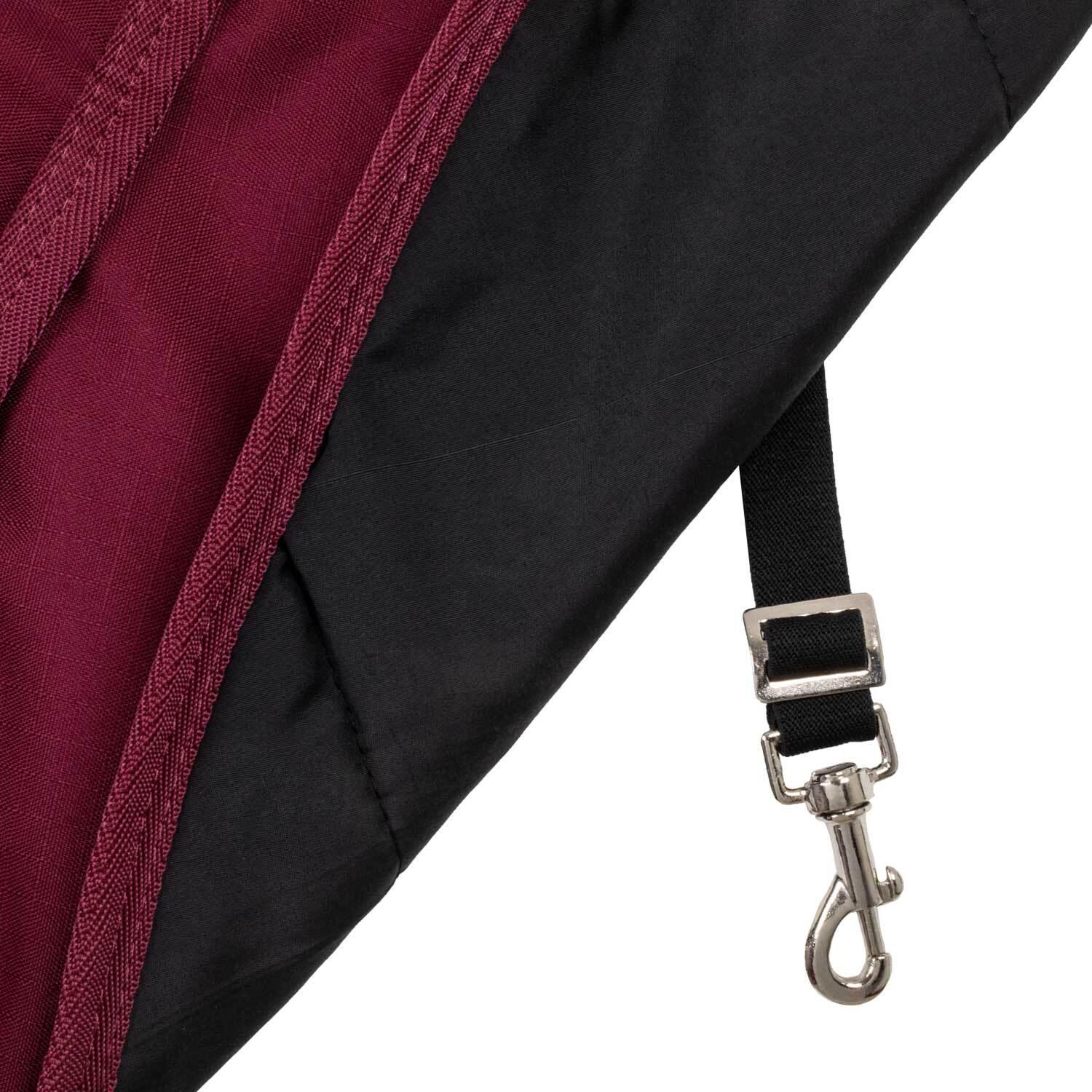 product/u/m/umbria-equitazione_co00086-burgundy_burgundy_4.jpg