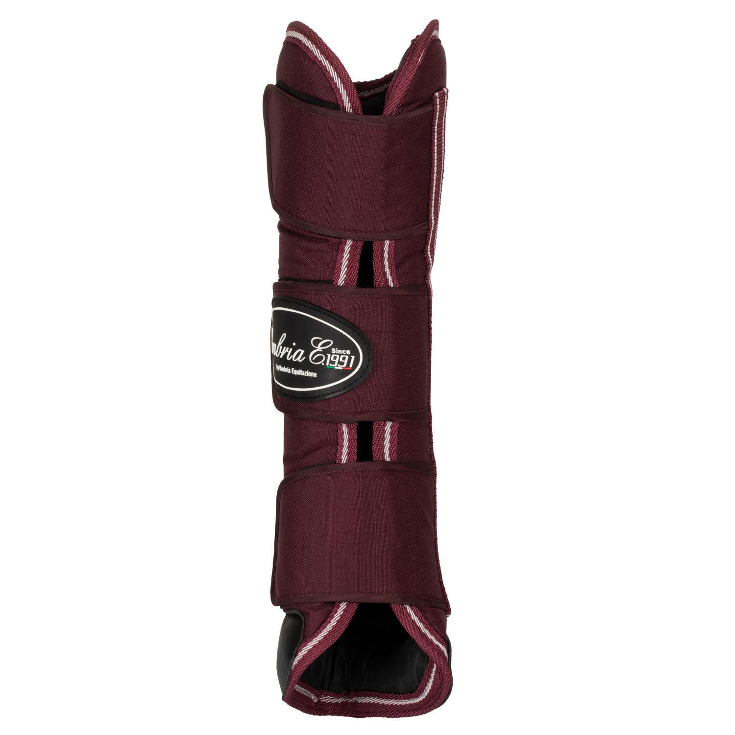 product/u/m/umbria-equitazione_pr00037-burgundy_burgundy_2.jpg